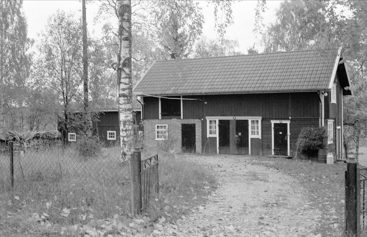 Lider och ladugård, Gustebo 1:2, Bälinge socken, Uppland 1983