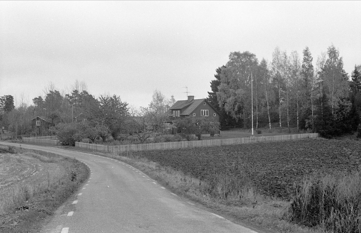 Vy över Margaretelund, Hässle, Dalby socken, Uppland 1984