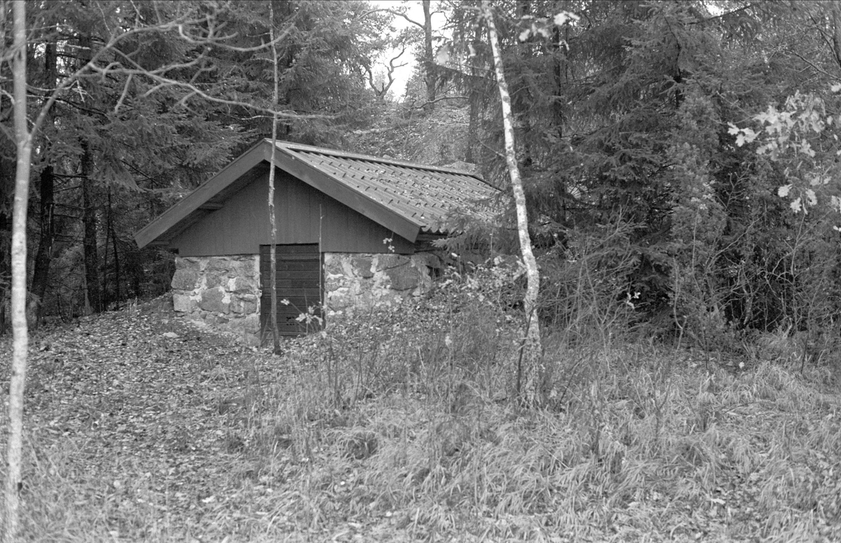 Källare, Persborg, Dalby socken, Uppland 1984