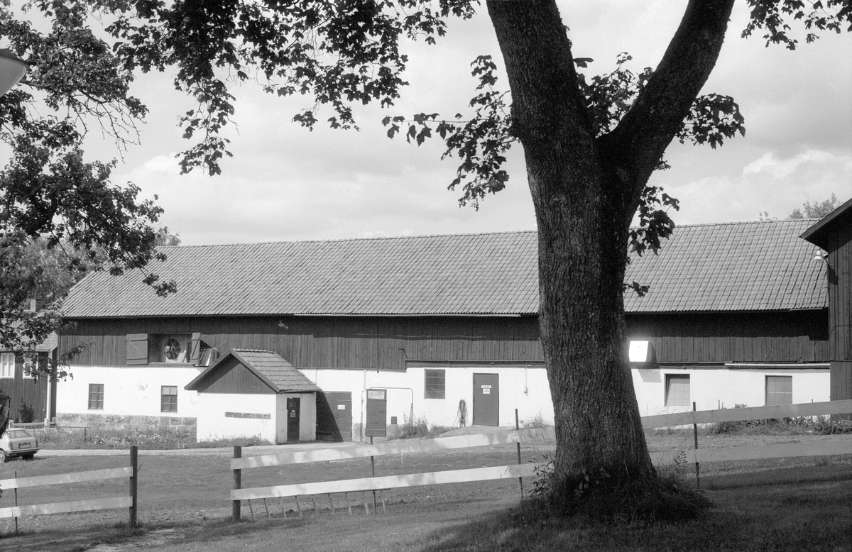 Ladugård, Knutby-Åsby 6:1 (A), Åsby, Knutby socken, Uppland 1987