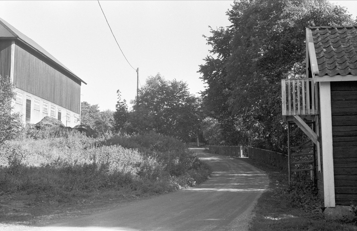 Byvägen, Lövsta 2:4, Almunge socken, Uppland 1987