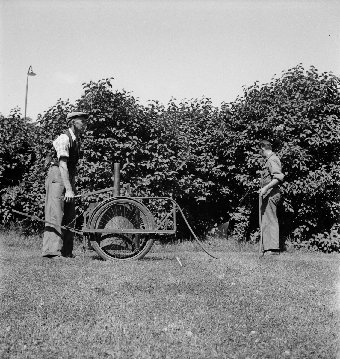 Trädgårdsmaskiner i Stadsträdgården, Uppsala 1949