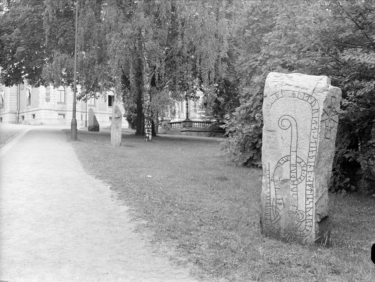 Runstenar i Universitetsparken, Uppsala 1949