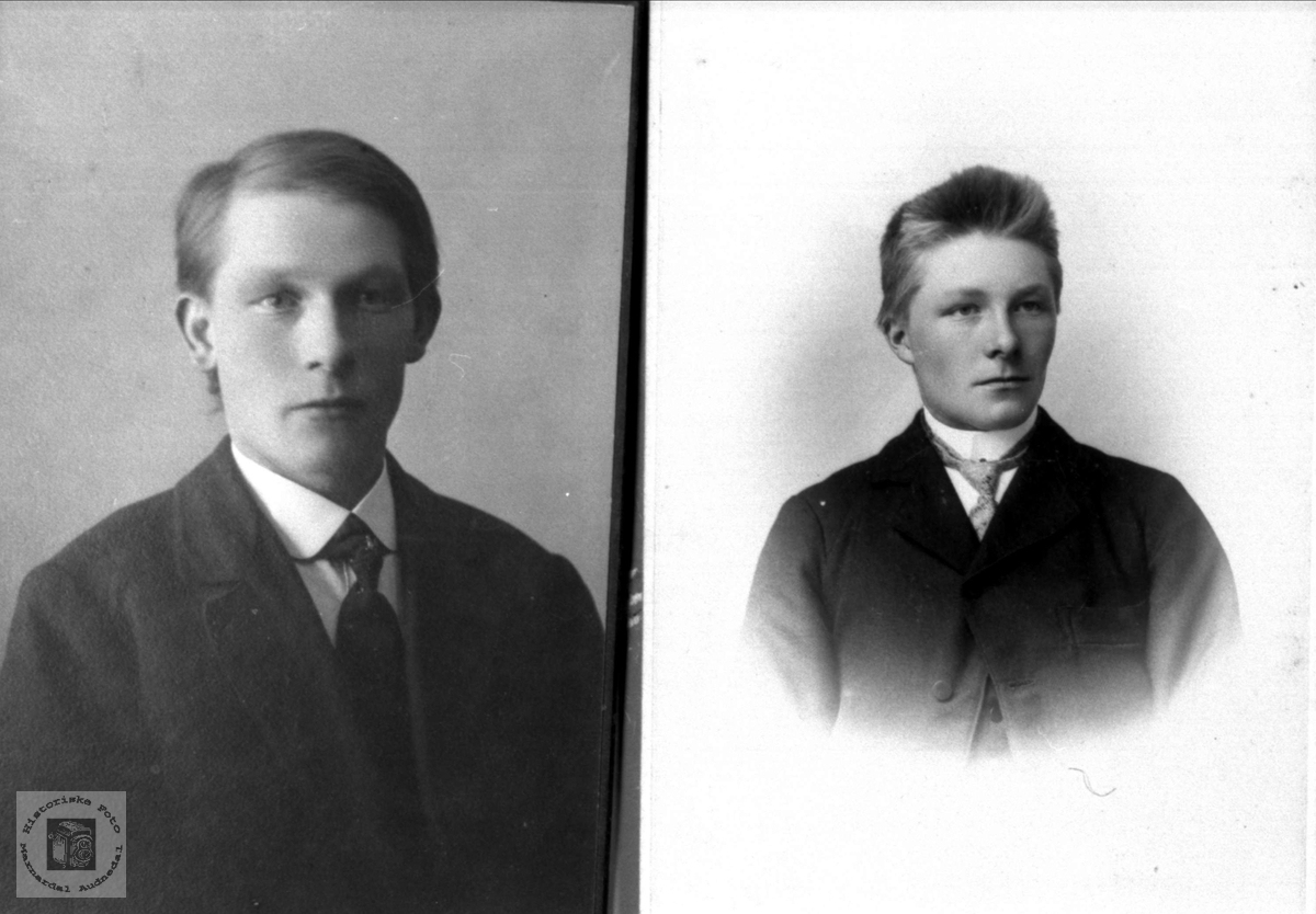 Brødrene Erik og Bent Skogen, Øyslebø.