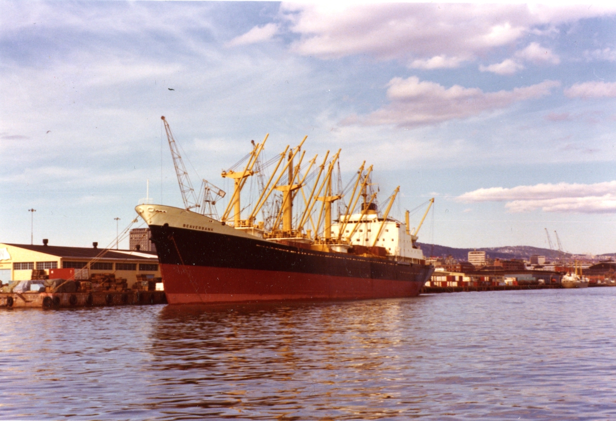 M/S 'Beaverbank' (b.1974, Sunderland Shipbuilders Ltd., Deptford Shipyard, Sunderland).