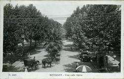 En vogntur - Mendoza.