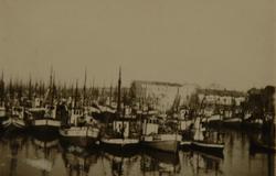 Fiskebåter i fiskevær, ukjent sted