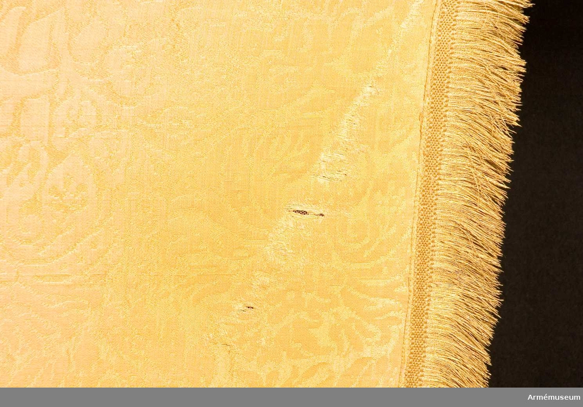 Grupp B I.

Duk av gul damast, runt kanten frans av gult silke. Fransen 5 cm bred fäst med mässingsspikar i två rader. Bredd 129 och 76 cm.Tillstånd: Fransen fullständig och bildar kontur, duken mycket riven för övrigt.

Att jämföra med 3710: (på extrakort för 3710). 1676 utförda av Elias Thede. 1676 4 st till Nils Gyllenstiernas dragonregemente. 1676-1709 3 st kvar i Klädkammaren. 1712 från Klädkammaren till Krigskollegium.