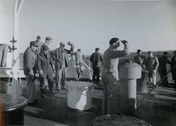Menn på dekk under prøvetur med tørrlasteskipet M/S Pelagos,