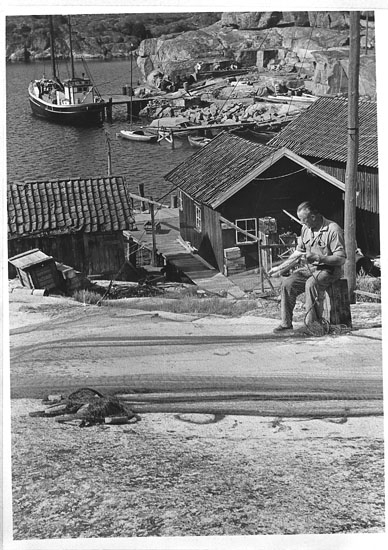 Enligt tidigare noteringar: "Sjöviken, Hamburgö, hamn med sjöbodar vid brygga kuttern "Alfhild", man med nät. 
Repro 1985 av foto tillhörande Helge Akervall, Hamburgö".