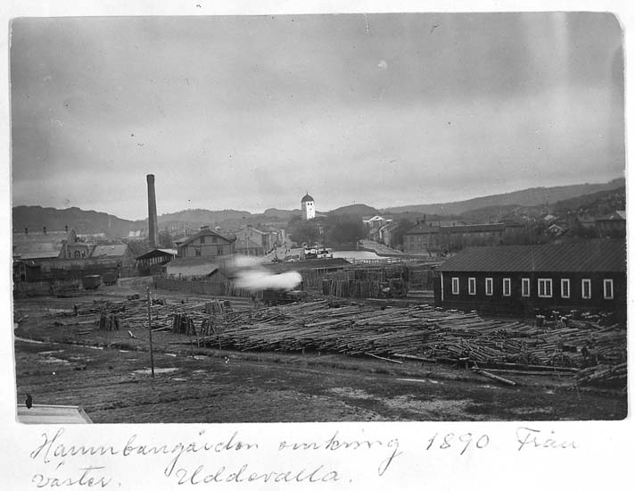 "Hamnbangården omkring 1890. Från väster, Uddevalla"