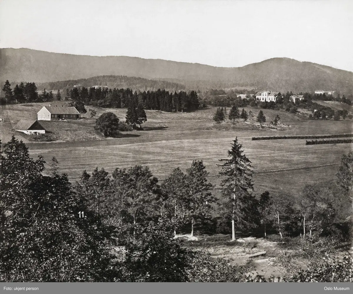 Tørteberg husmannsplass og Store Frøen gård. - Oslo Museum / DigitaltMuseum