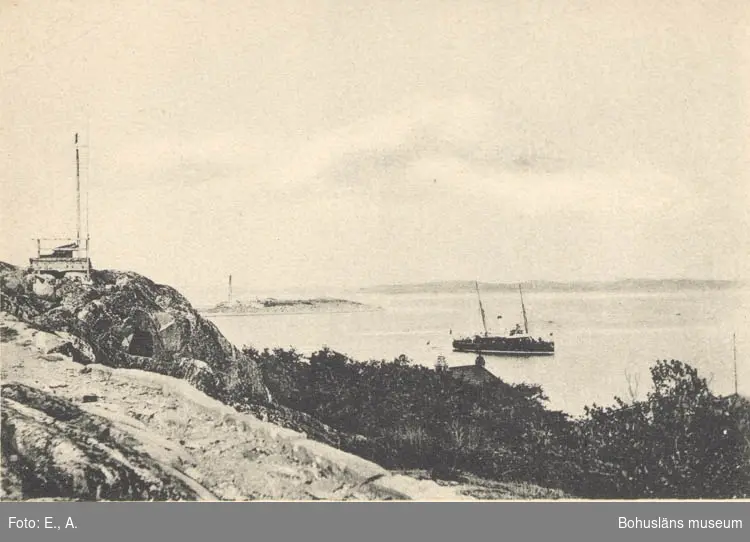 Tryckt text på kortet: "Lysekil. Gullmarsfjorden." 
"Albert Wallins Bokhandel."