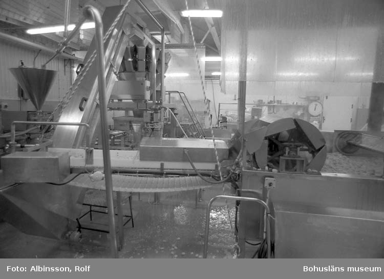 Enligt fotografens noteringar: "Slutet av fiskbullemaskinen, de är "förvällda" och åker upp på ett transportband till vågarna."
Fototid: 1995 den 16, 24 november och 11 december.