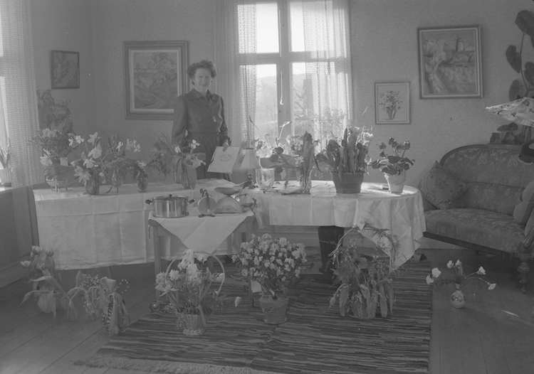 Text till bilden: "Fru Anna Berlin, Häggvall. 50 år. 1950.02.21"












i