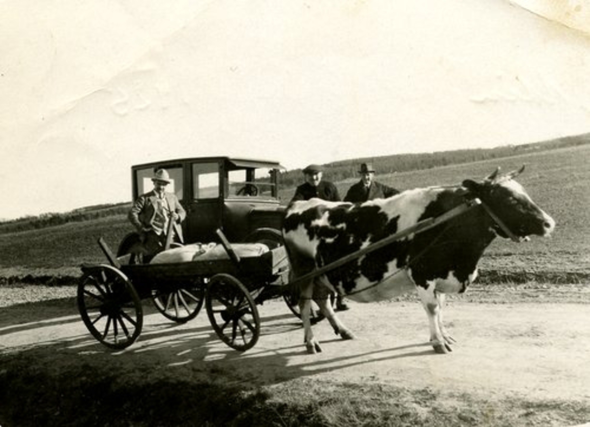Snöstorps sn. Alebolet. 
Text till foto 1: Petter Persson, mannen i mitten är ägare till kon.
Text till foto 2: Min första bil (1925).