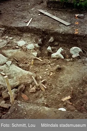 Arkeologisk utgrävning i Gunnebo slotts köksträdgård, maj 1995. Removal of a bone concentration found in (miz) of construction 1.
