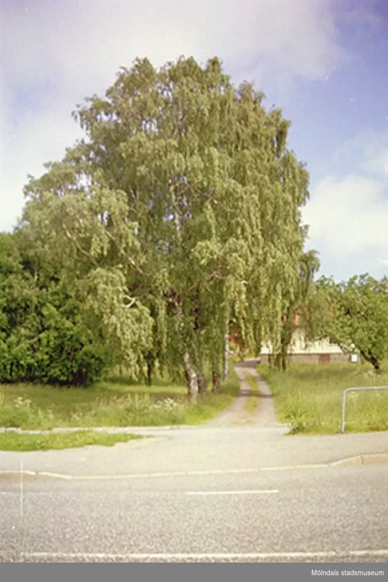 Våmmedal 3:3 i Kållered, 2001-05-15. Hör ihop med: 2002_0279 - 0286.