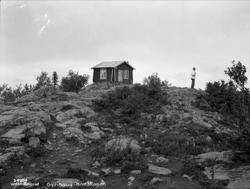 Gyrihaug - Krokskogen