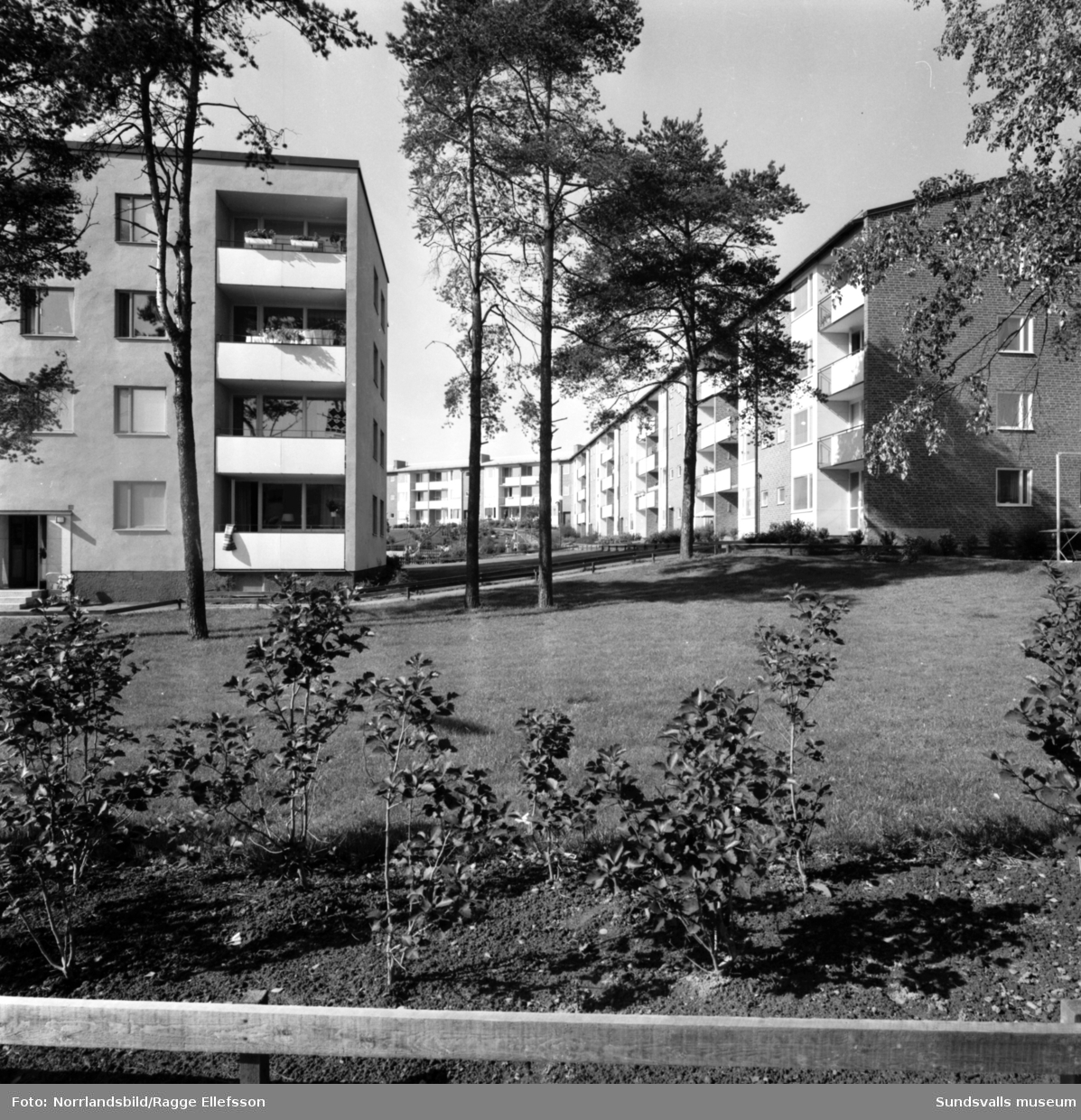 Nya hus och lekplatser vid Skönsbergsvägen och Gillegränd i Skönsbergs centrum.