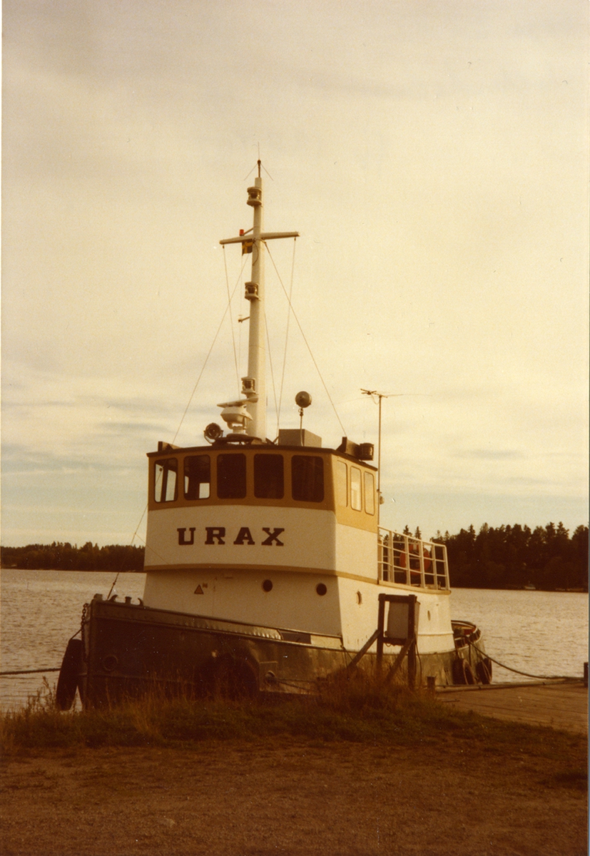 bogs. Urax, fotograferad i
Stallarholmen, 23/9-79