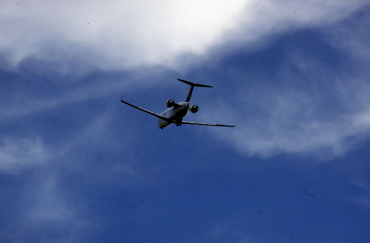 Lufthavn, 1 fly i luften i ferd med å ta inn landingshjulene.