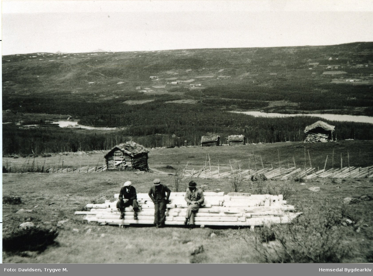 Snikkarane Svein Storejorde til venstre og Svein Skolt til høgre på tømmeret til hytta til T. M. Davidsen.
Knut Bakko (Resabakko) sit i midten.