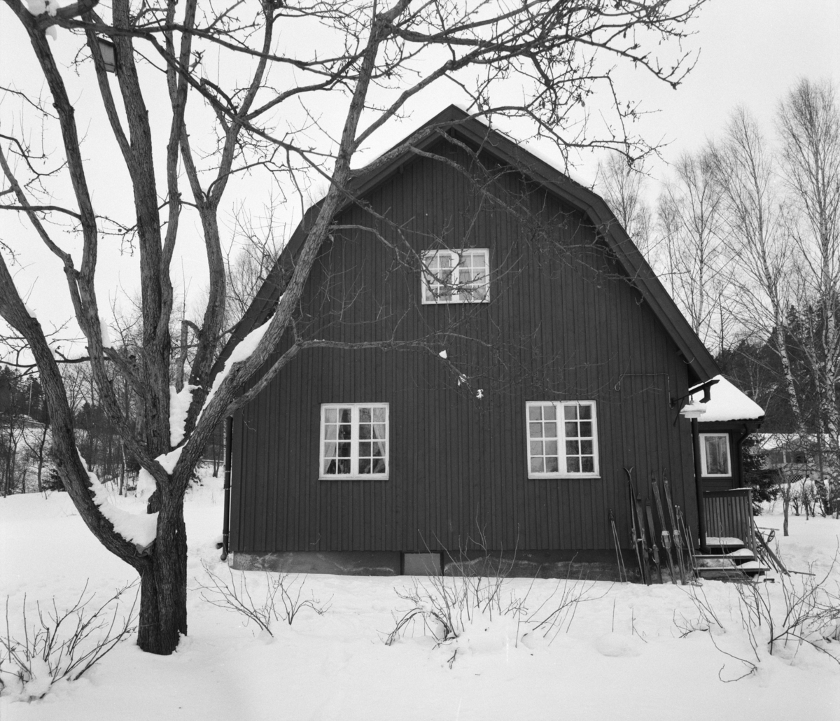 villa Ahlgren
Exteriör, trävilla i snölandskap, i förgrunden träd.