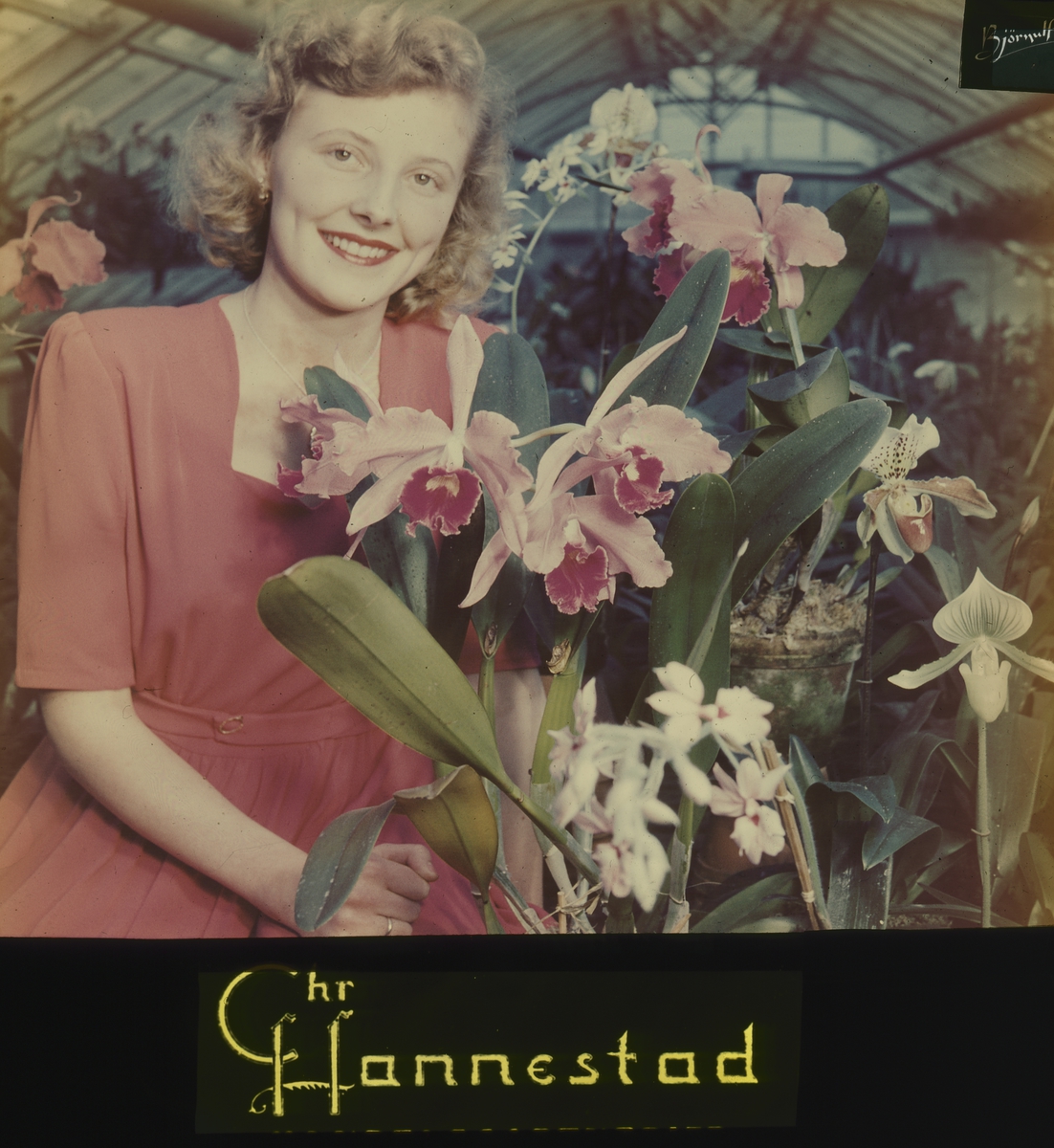 Kinoreklame fra 1950-1960-årene. Kvinne i rød kjole sitter med orkidèer i drivhus.