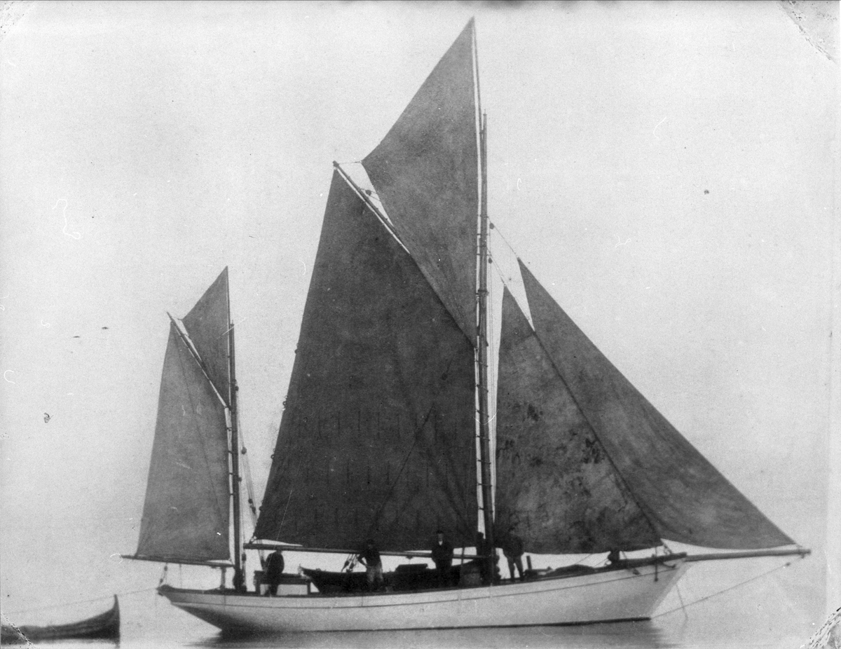 Skandferbåten "Ternen" med seil oppe og en nordlandsbåt på slep.