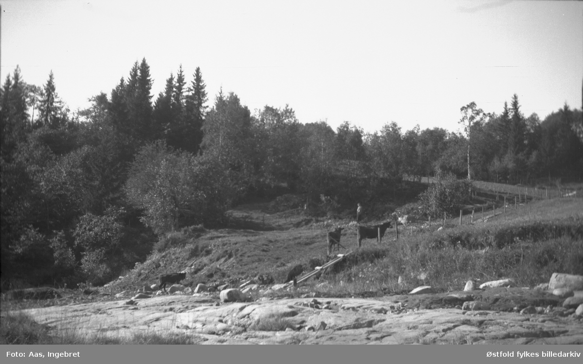 Tigelstø i Skiptvet , rester etter middelaldersk teglstensbrenneri for Valdisholm. Fotografert 1932. Ukjent kvinne står midt i bildet.