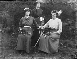 gruppe3, kvinner, bord, blomster, hatter,