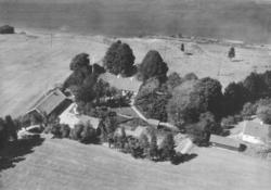 flyfoto, skråfoto, gårdsbruk, Tomta, elv, Glomma,