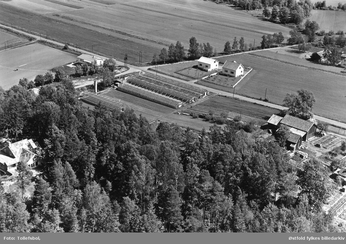 Dyhre gård og gartneri, skråfoto 1956.