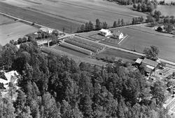 Dyhre gård og gartneri, skråfoto 1956.