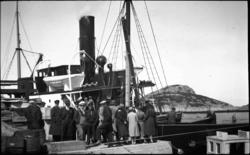 Bryllaupsfølgje på veg heim etter bryllaupet til Anna og Ber