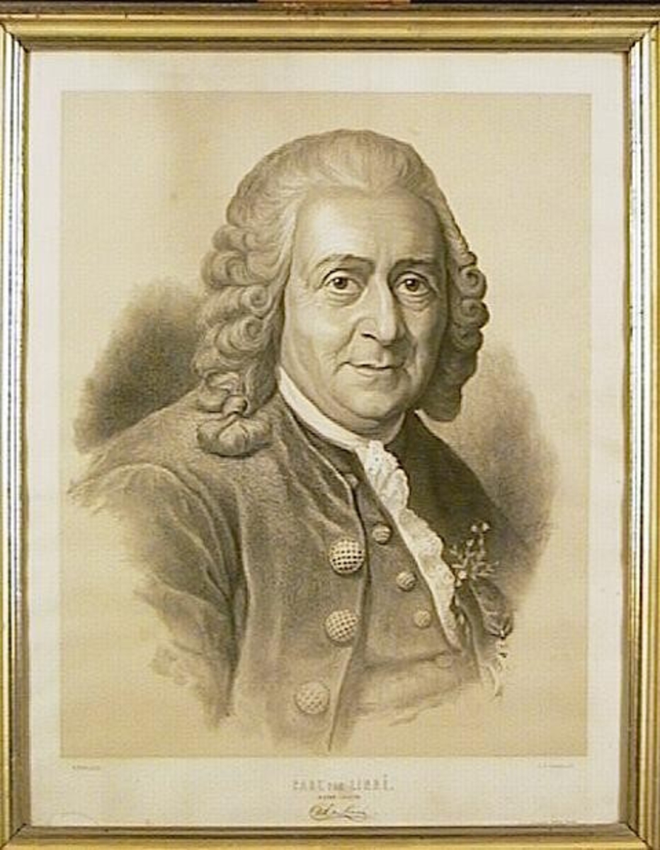 Carl von Linné