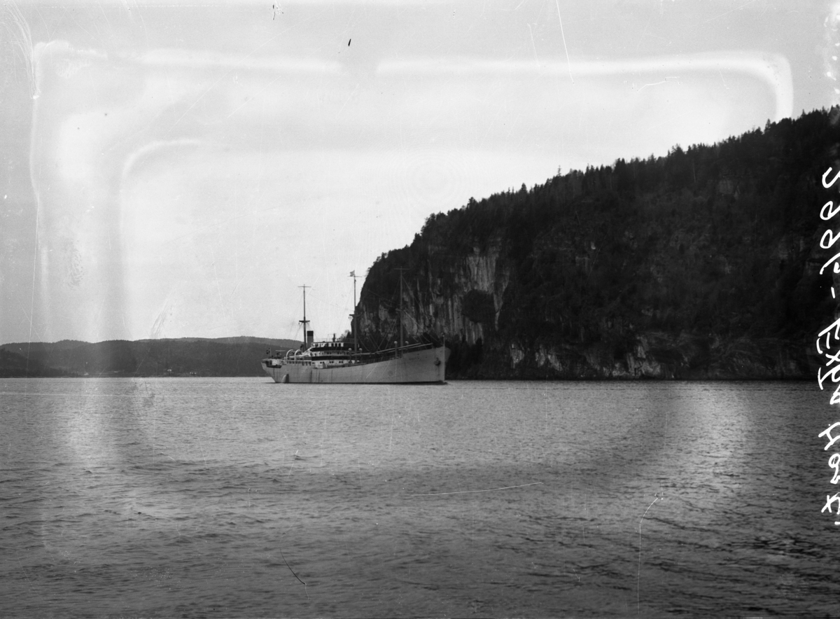 Dampskip på Frierfjorden.