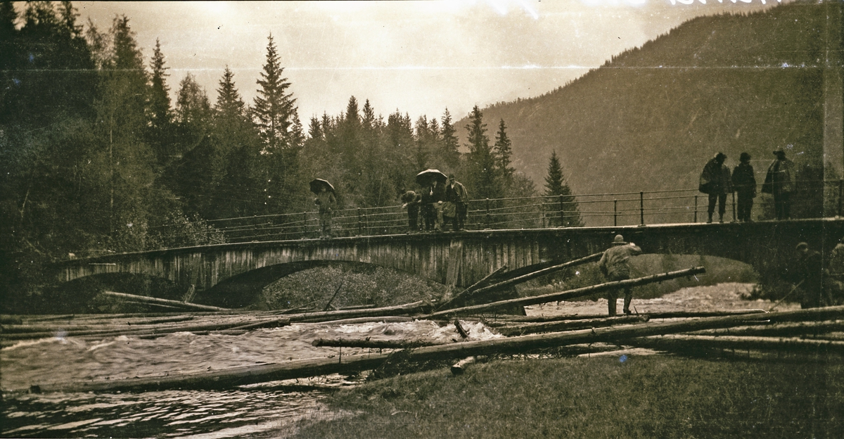 Flatland bro, Sauland 1918