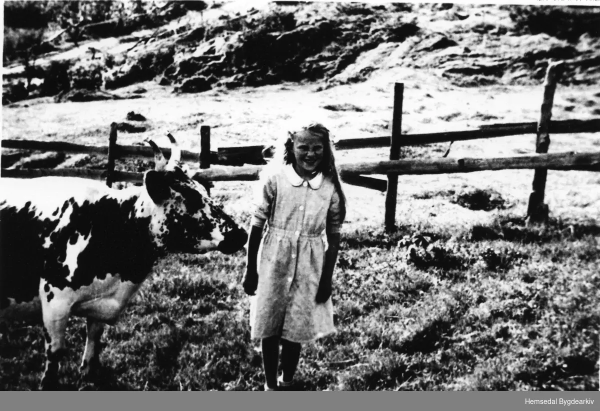 Ragnhild Haldis Hjelmen med kyra si, Litago, på Hjelmen, 86.18 i 1946..