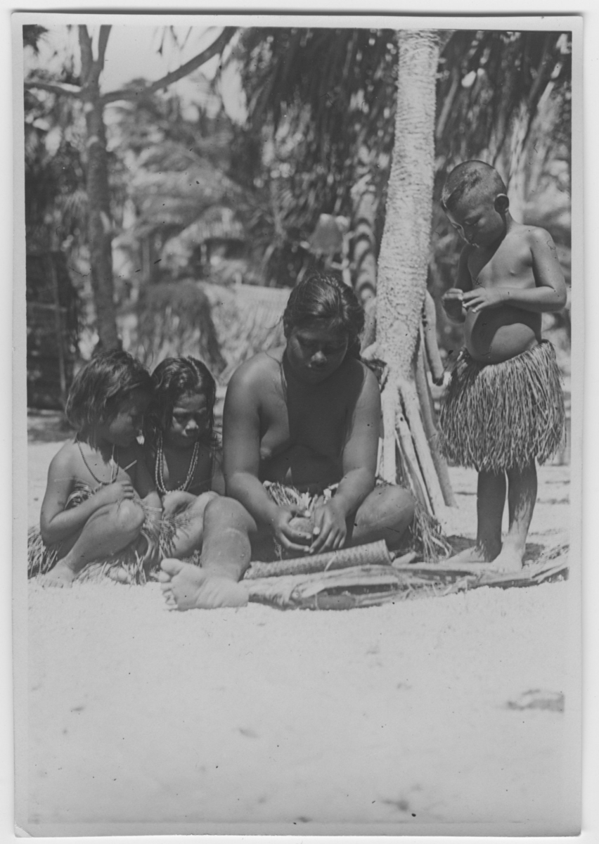 'Bock och Hessle Gilbertöarnaexpeditionen: ::  :: 2 barn och 1 ung kvinna sittande på marken, 1 barn står intill. Alla iklädda bastkjolar. Kvinnan i färd med att bearbeta kokosnöt. Text på baksidan: ''Skrapning av kokosnötens ''kött''.'' :: Ingår i serie med fotonr. 6977:1-15.'