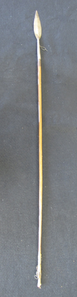 Pil med järnspets, troligen från sydvästra Afrika.

Pilen har hängt i ägarens hem på en vägg i kors med VM29077:2.