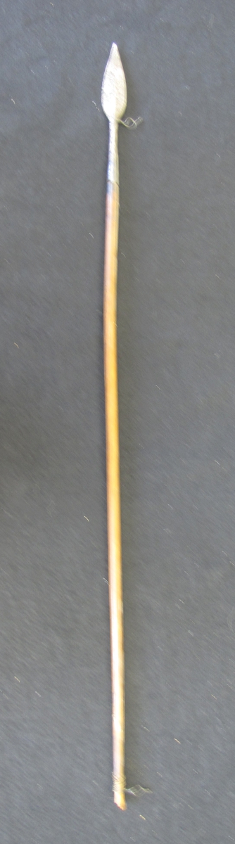 Pil med järnspets, troligen från sydvästra Afrika.

Pilen har hängt i ägarens hem på en vägg i kors med VM29077:1.