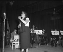 Vardens arkiv. "Sommerfuglen i Brekkeparken" 25.07.1953