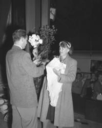 Vardens arkiv. "Sommerfuglen i Brekkeparken" 25.07.1953