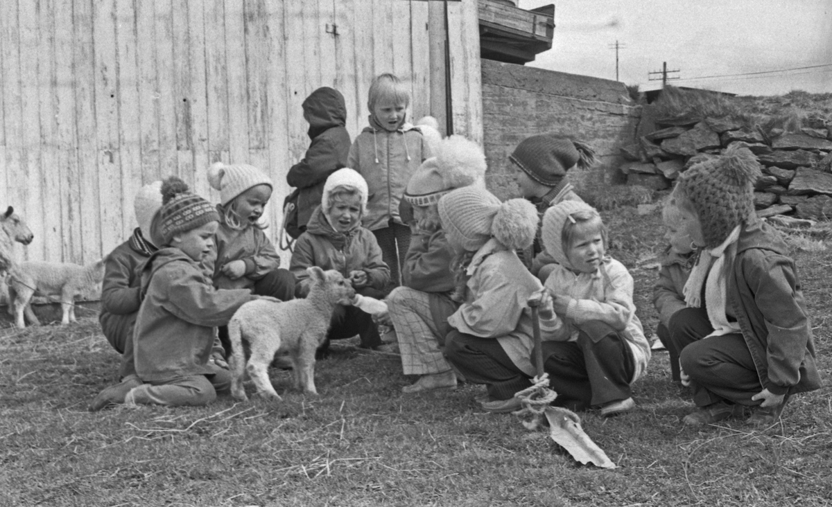 Barn fra Kvalsvik Barnehage + lite lam.