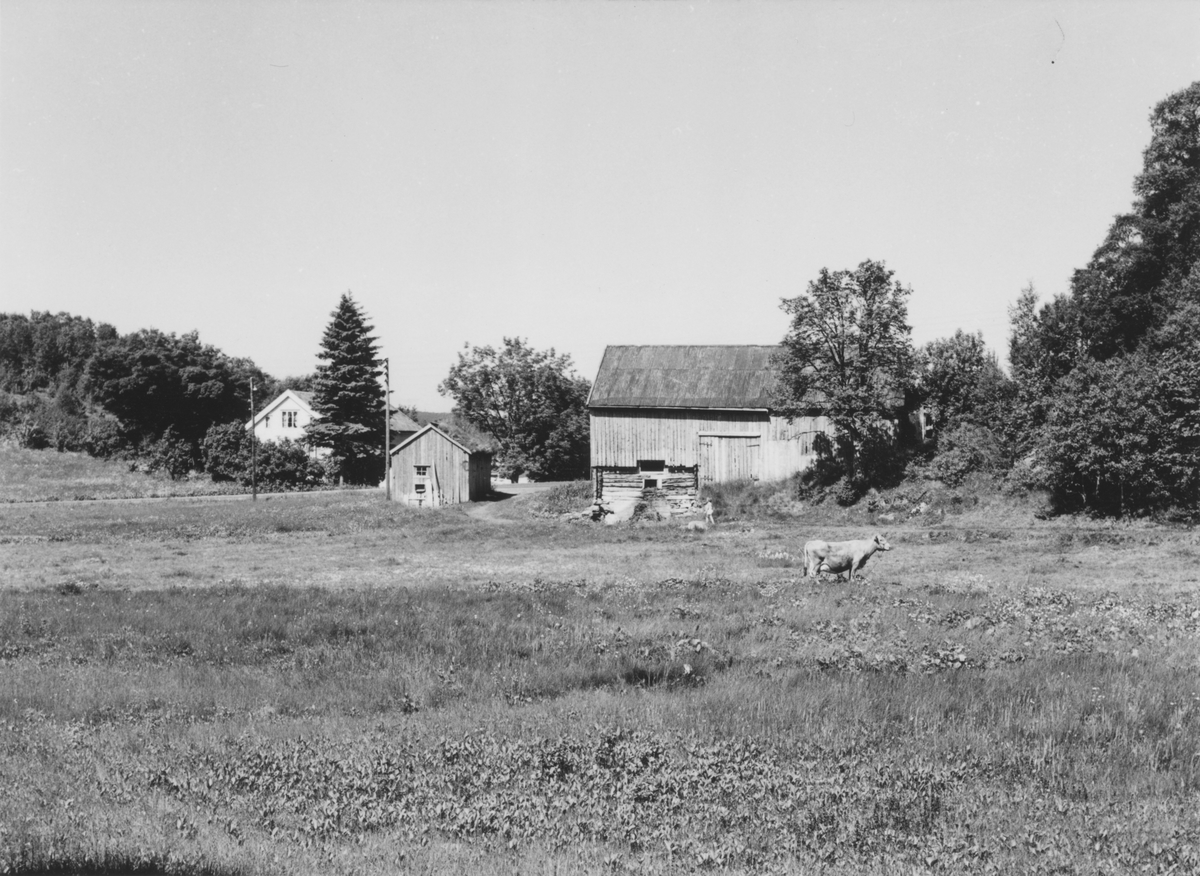Gården på Djupvik der tunet til den gamle Djupvik- gården lå. Utsikt over Djupvika.