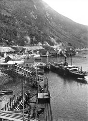 Narvik med havn, dampskip ved kai, jernbanesproet til Ofotba