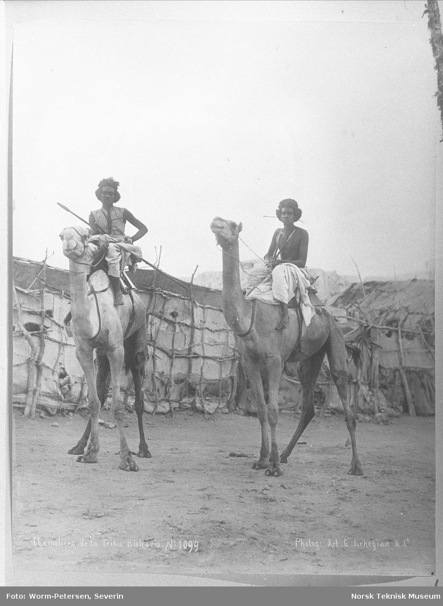 To personer som rir på kameler