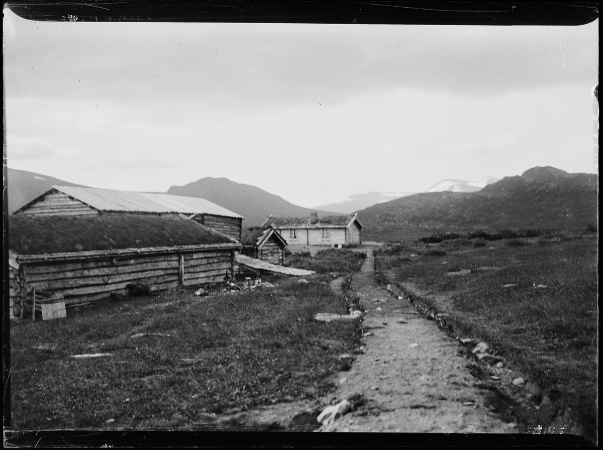 På sætra, en sti (kjerrevei) går motnoen laftede hus. Antagelig Sjølisæter ved Atnsjøen. Rondane i bakgrunnen.